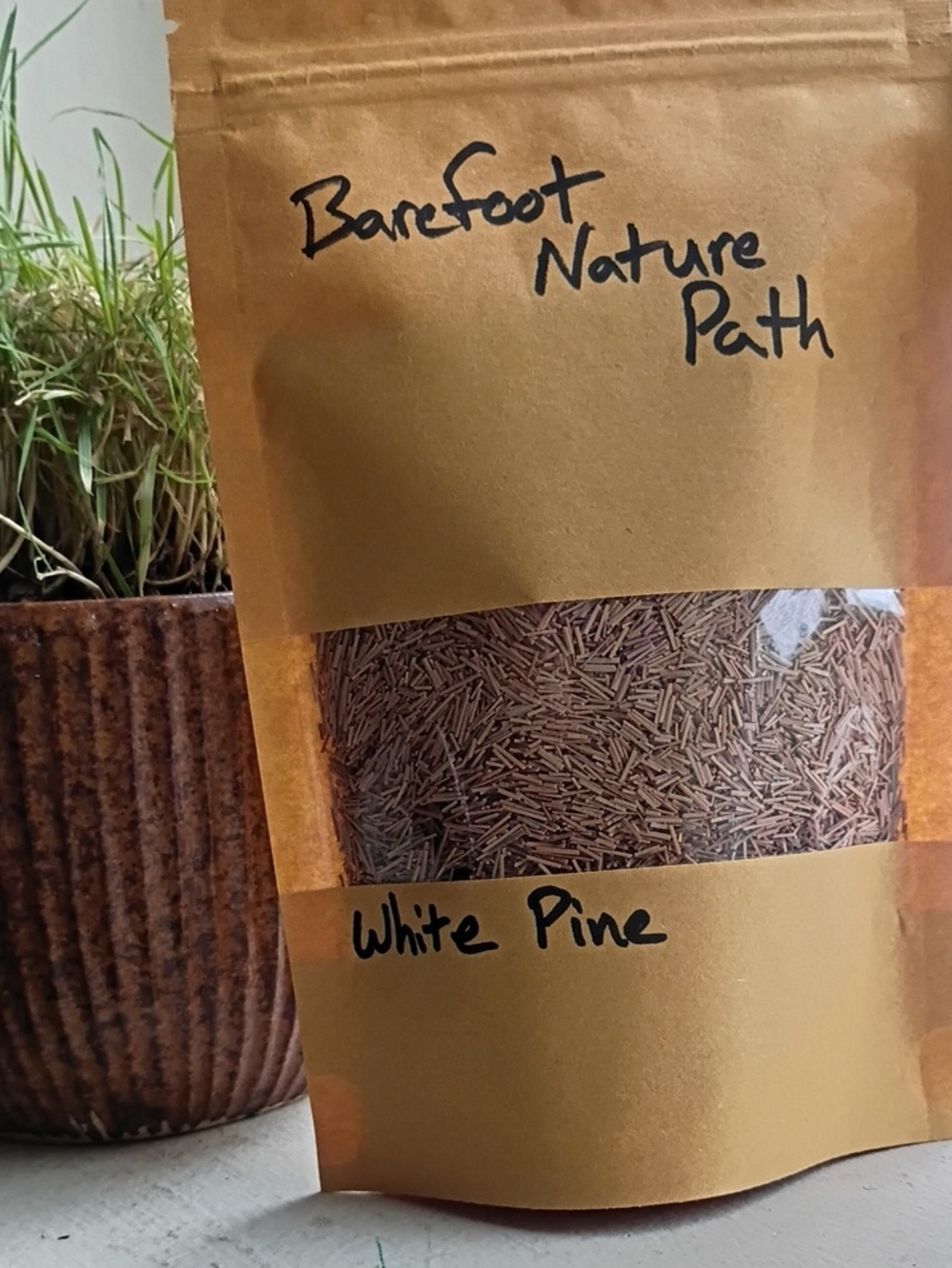 Dried White Pine Needles